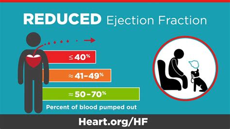 Ejection Fraction Heart Failure Measurement